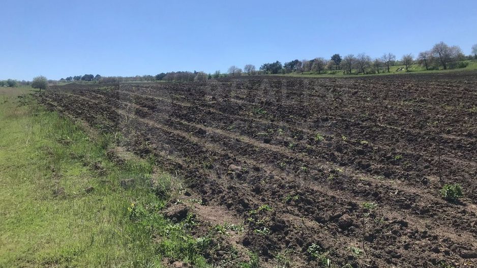 Spre vânzare , teren agricol, 15 ari, com. Bulboaca, Aneni Noi - Poză 8