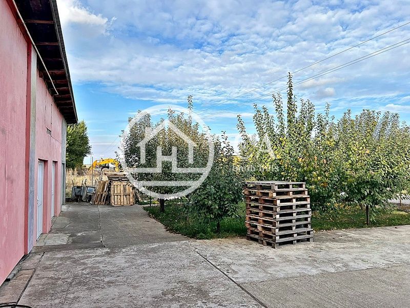 Hală de vânzare în zona industriala Santion, Bihor - Poză 13