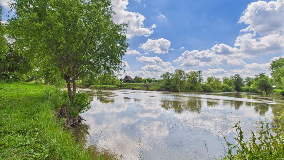 Teren cu baltă- oportunități multiple la Fibiș - Poză 26