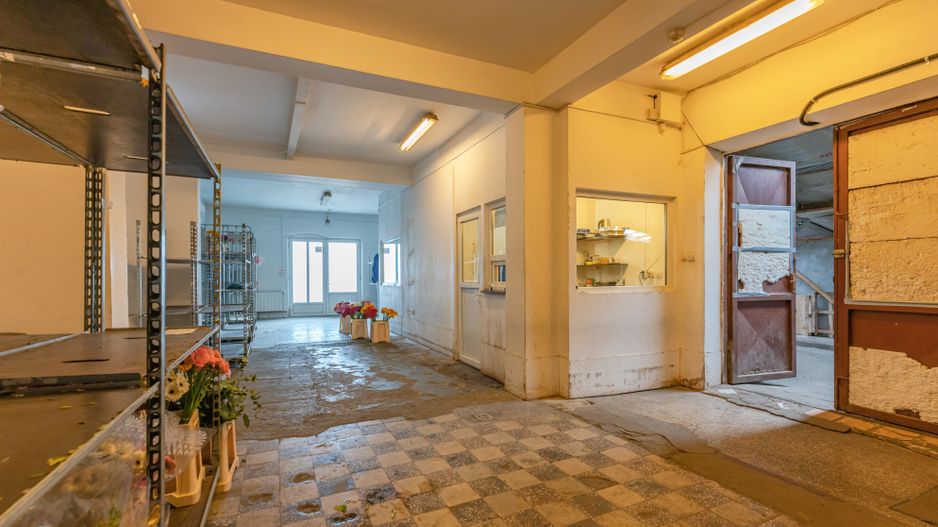 CASA BARTOLOMEU- sediu firma/ comercial/ servicii- zona circulata - Poză 12