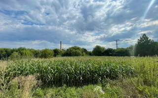Casa cu teren de 1233 mp la 25 km de Oradea - Poză 11