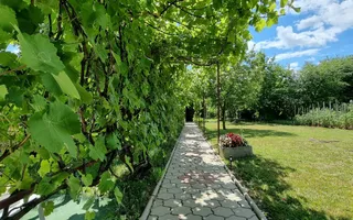 CASA+TEREN, ZONA SUD - Poză 15