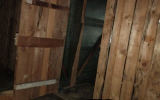 Apartament 2 camere decomandat, 54 mp, zona Frumoasa, Iași - Poză 6