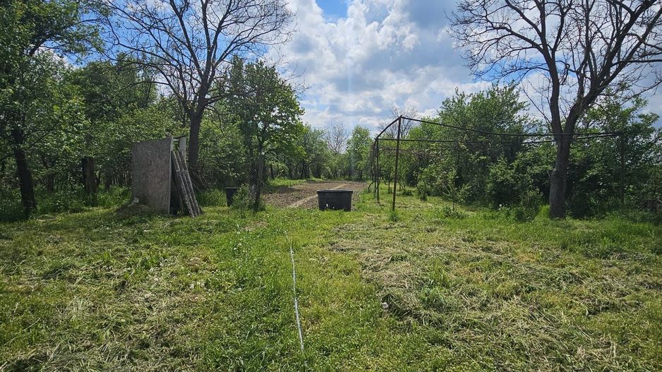 Casa la tara in Rogoz, Bihor, teren 1427 mp, acces auto - Vanzare - Poză 8