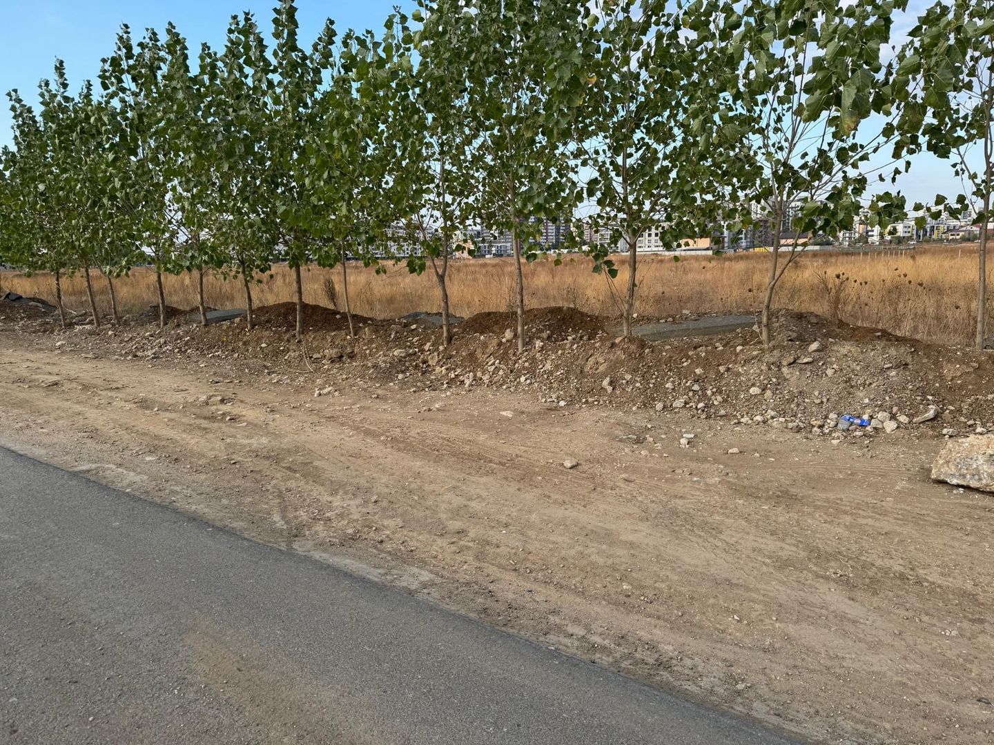 Teren 9400 mp Strada Gura solcii - Poză 11