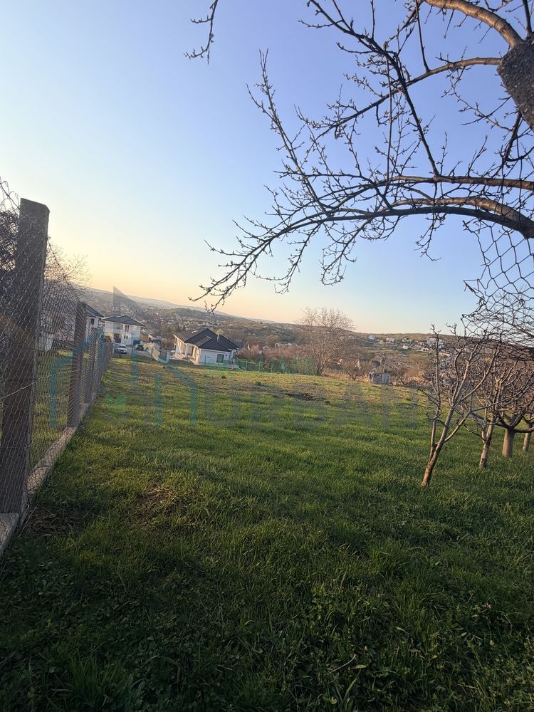 Teren Intravilan de Vânzare în Bucium, Vladiceni - Poză 1