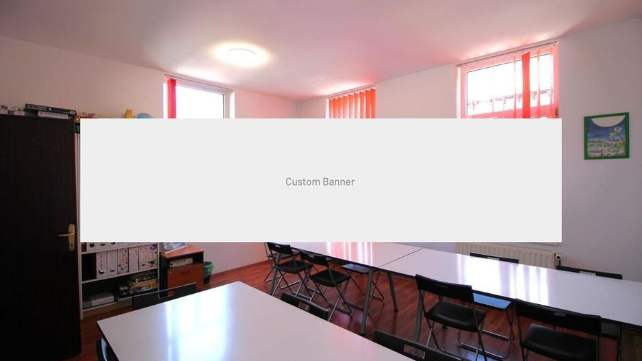 Salcamilor - Bd. Dacia, Vila renovata 223 mp utili, inchiriata! - Poză 9