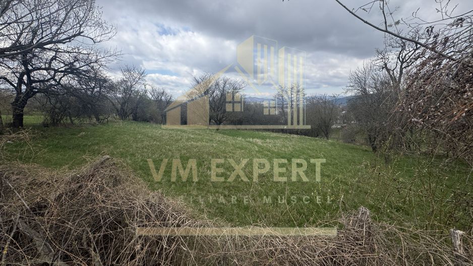 TEREN INTRAVILAN 2153 MP IN VALEA MARE PRAVAT - Poză 2