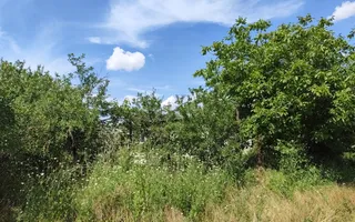 Teren de 11.000 mp cu casă și teren agricol | La 40 km de București | - Poză 16