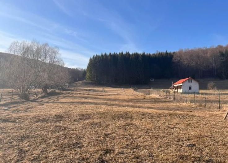 Teren intravilan 4521mp lângă pădure-valea Doftanei -Calea Brasovului - Poză 13