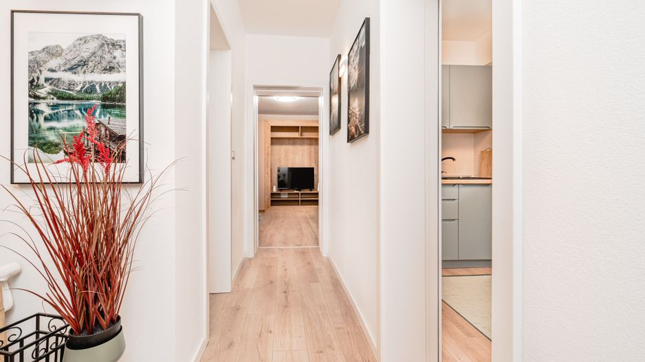 Apartament cu o camera în Piata Unirii cu boxa in CF - Poză 18