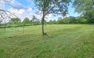 Teren intravilan în Vălenii Șomcutei, în suprafață de 1.700 mp - Poză 4