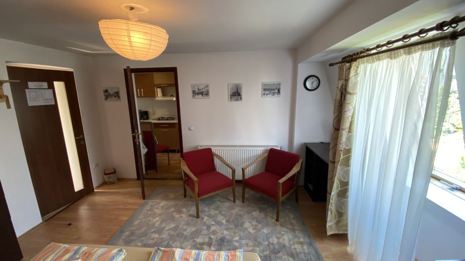 Apartament cu o cameră/ 30 mp/ finisat modern/ cartier Mănăștur - Poză 5