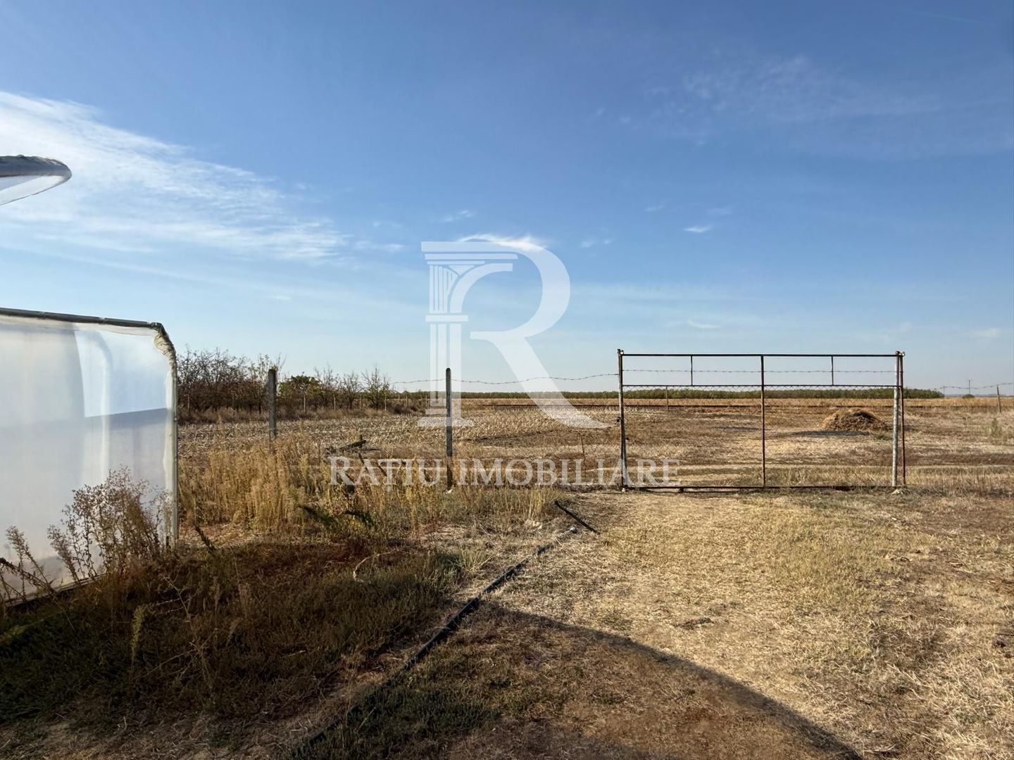 Teren intravilan agricol | 7029 mp | Satu Nou | Bihor - Poză 16