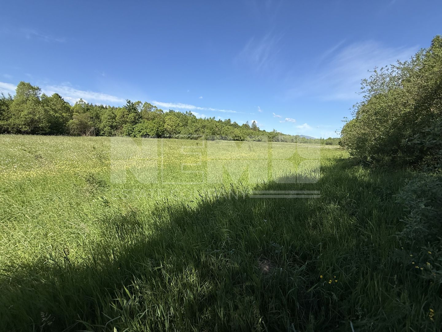 Teren de vânzare | Hardic | 2.300 mp - Poză 3