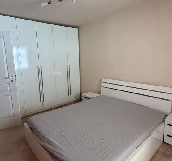 Dambovita | 3 Camere | Decomandat | Centrala Proprie. - Poză 3