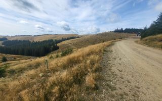 Teren de vanzare in Horezu/Bolca Pietrele Scrise/Valcea - Poză 5