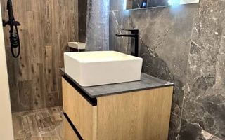 Dumbrăvița-Casa Individuală-Mobilată/Utilata - Poză 12