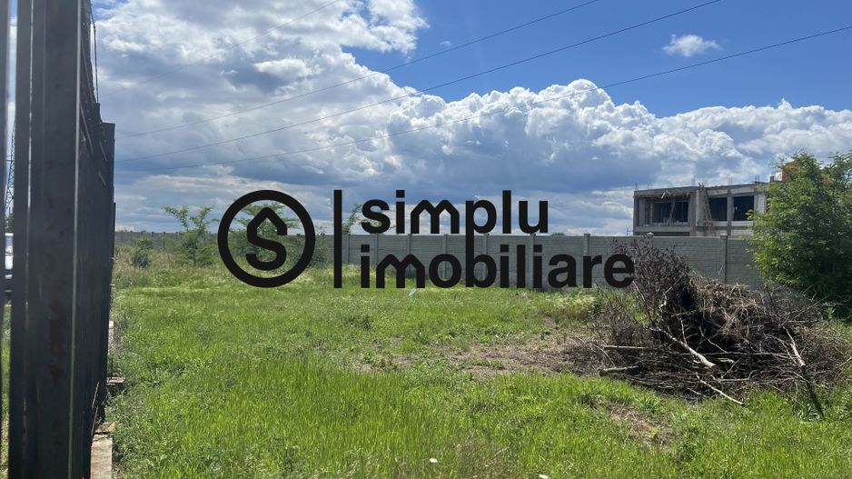 Teren Intravilan Damila - Poză 3