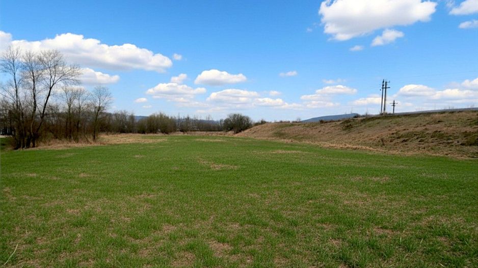 Teren 12.400 MP | 180 ml deschidere E85 | Pătrăuți | 70.000€ - Poză 1