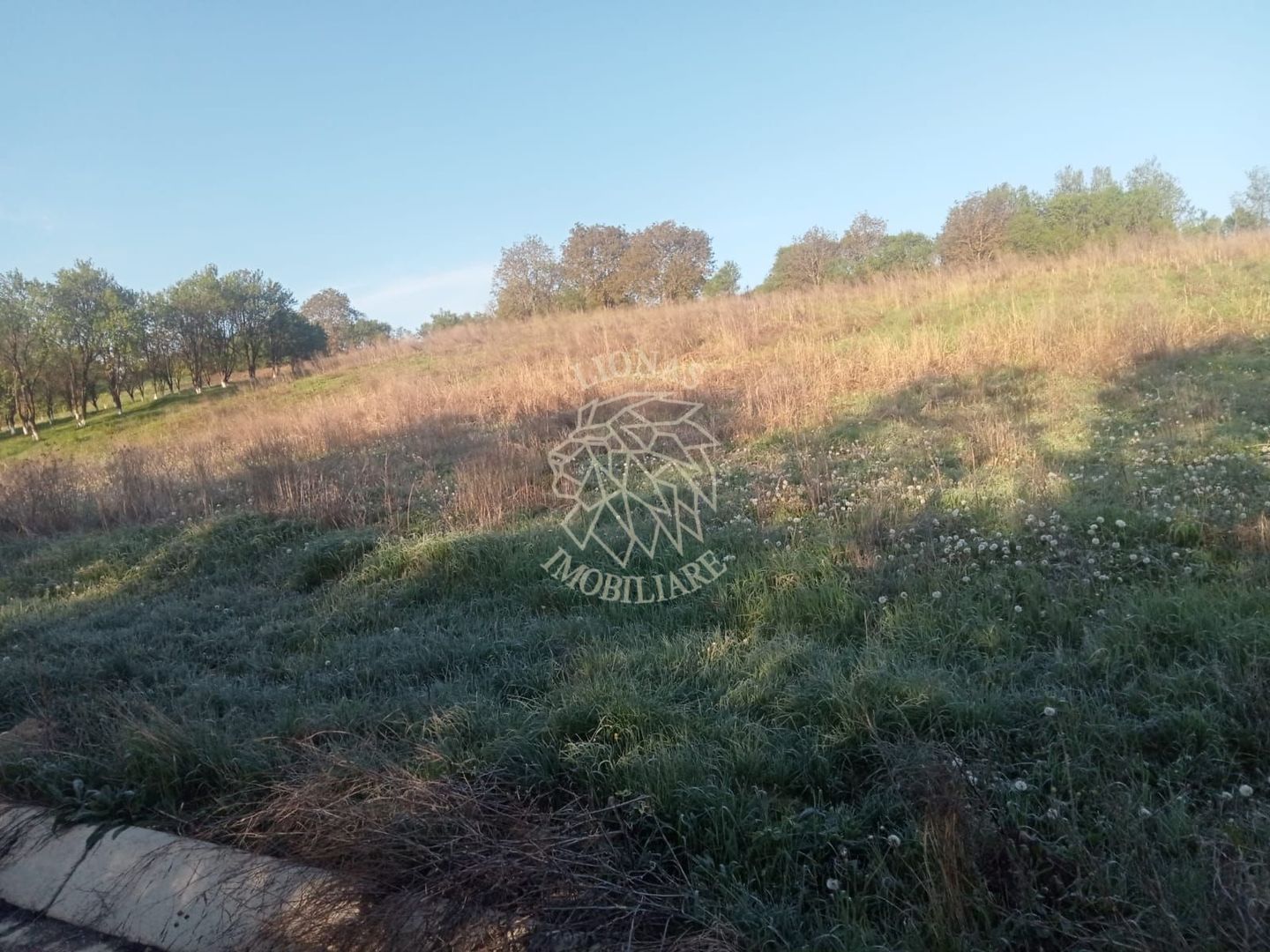 Teren intravilan 100 ari  front 80 ml utilități drum asfaltat Ghirolt Gherla - Poză 2