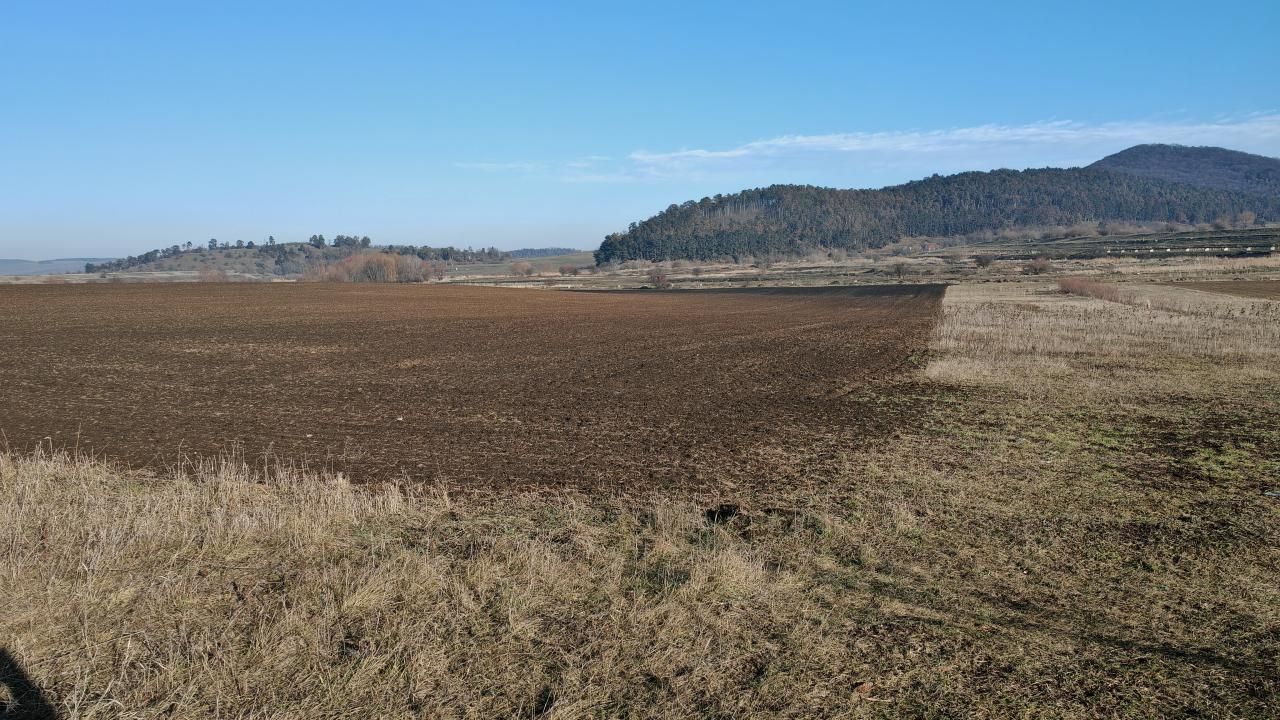 Teren intravilan,428 mp,SANPETRU iesirea spre BOD, utilitati. - Poză 2