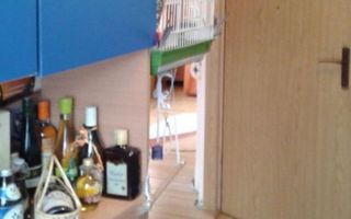 Ocazie!! 3 Camere, Manastur!! - Poză 3