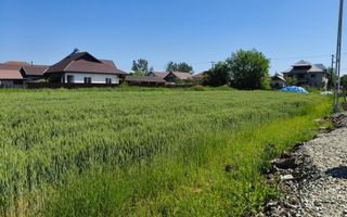 Teren 10.294 mp de vânzare Târgu Jiu | Intravilan + Extravilan | Utilități - Poză 6