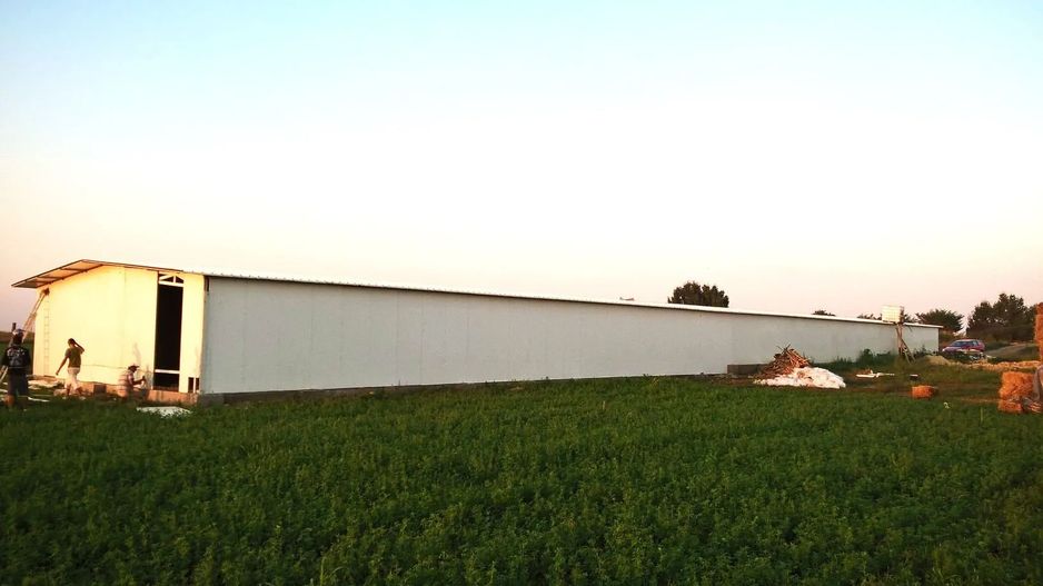 Ferma de gaini ouatoare in sistem free-range | 45.000 mp teren - Poză 1