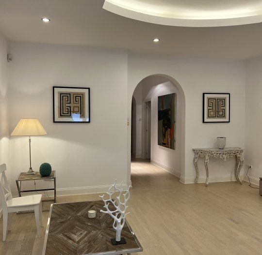 Str Belgrad, Capitale, Ap. tip duplex, 221mp: 122mp Hochparterre + 99mp Demisol - Poză 3