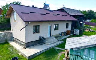 Ferma agricola, plantatii de mure, trandafiri, vita-de-vie - Poză 7