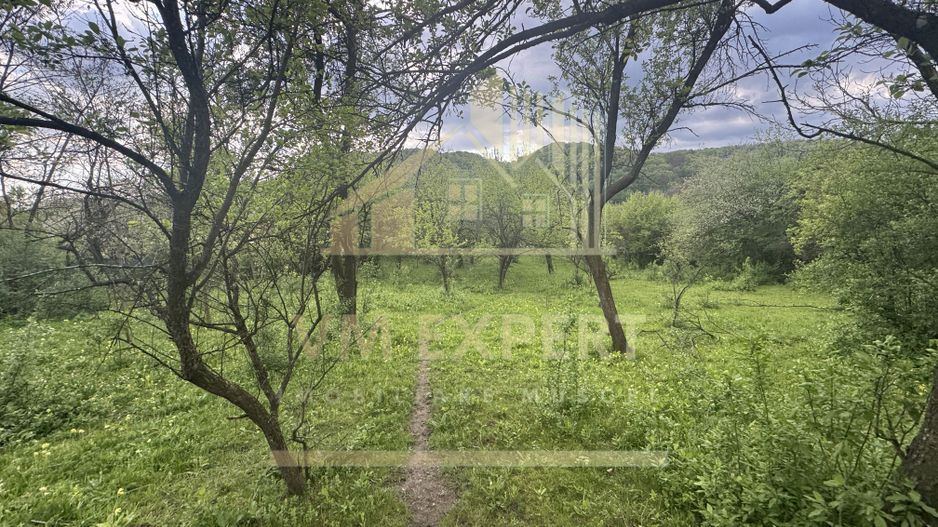 TEREN INTRAVILAN 7018 MP CAMPULUNG - Poză 17