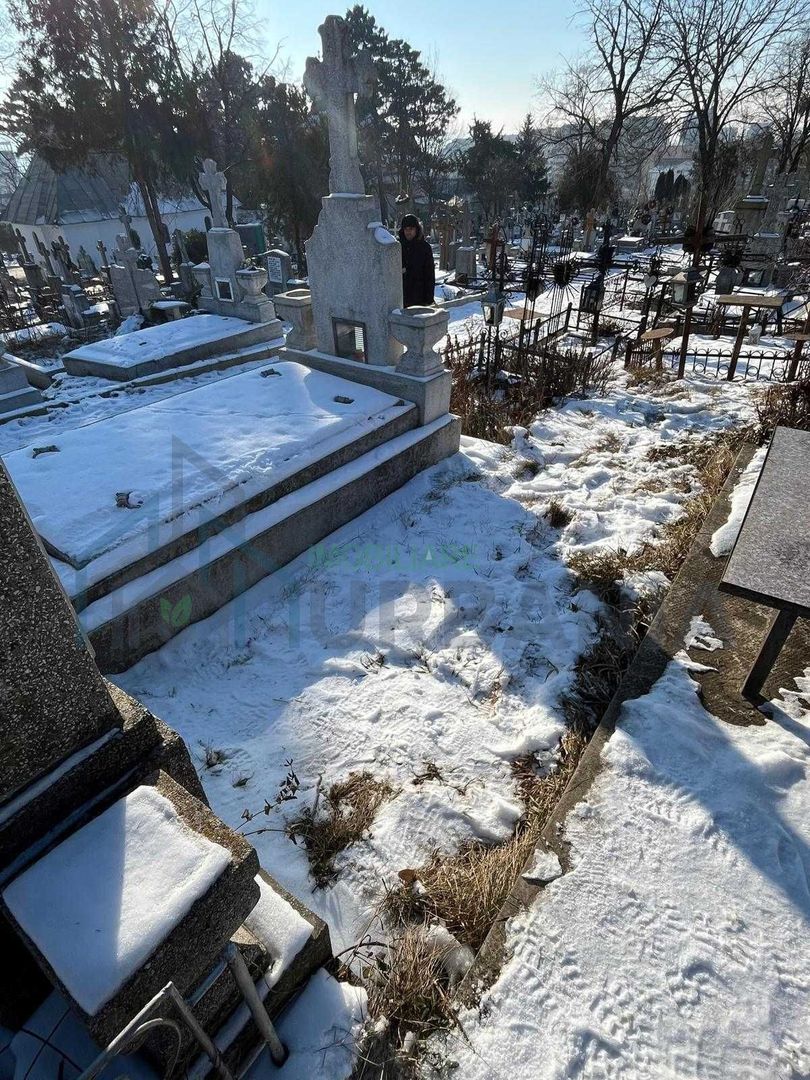 Loc de veci în Cimitirul Sfânta Treime, Iași - Poziție privilegiată - Poză 4