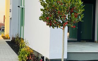 Apartament 3 camere la parter cu gradina proprie - Poză 14