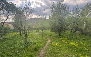 TEREN INTRAVILAN 7018 MP CAMPULUNG - Poză 12