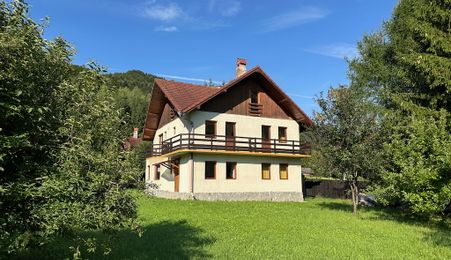 Vila de vanzare Plaiul Foii - ocazie unica!