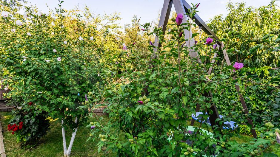 Vânzare, casă, 3 nivele, 160 mp, Goianul Nou - Poză 32