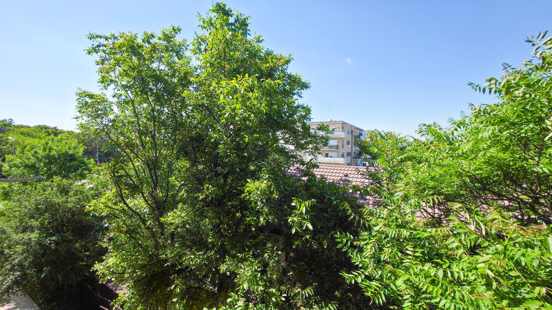Apartament 2 camere Valea Larga, bloc 2022 + parcare acoperita - Poză 20