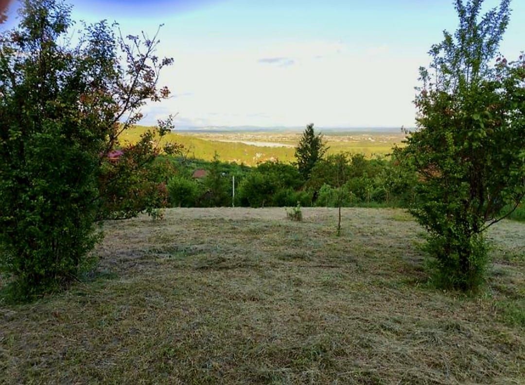 Teren Intravilan Podgoria - Poză 2