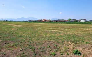 Terenuri Intravilane  Harman - Poză 14