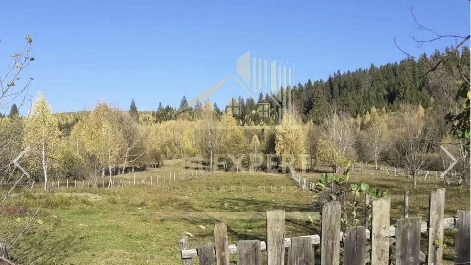 TEREN INTRAVILAN 2100 MP, LERESTI, PRET 42000 EURO - Poză 3