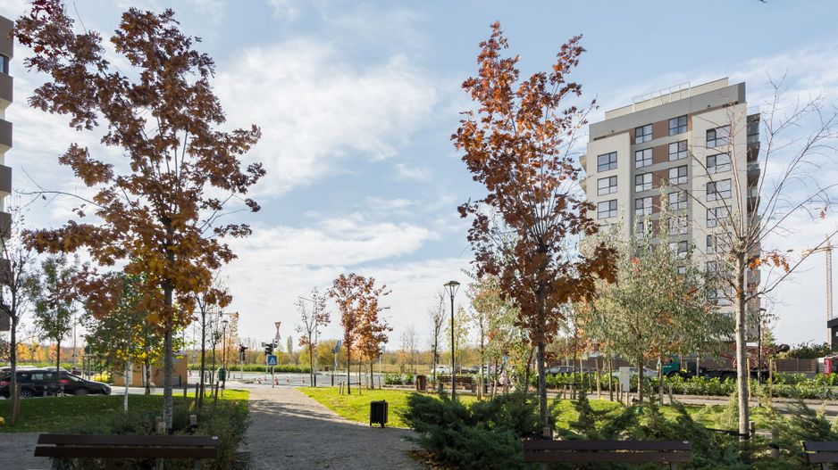 Vanzare teren / 28.000 mp / 300 ml desch. Noul Bd. Valea Larga I Drumul Taberei - Poză 5