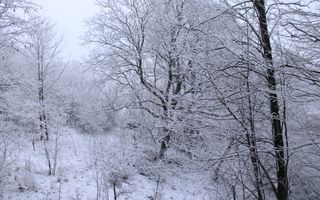 Teren cu izvor de apă minerală  Dangești, Punctul Valea Mare - Poză 35