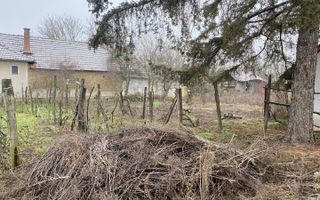 Casă din cărămidă | Teren 2000 mp|Anexe tradiționale | Bojt - Poză 35