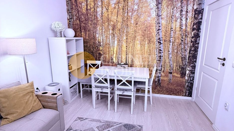 2 CAMERE DECOMANDAT--MOBILAT+UTILAT--STR. SOARELUI - Poză 3