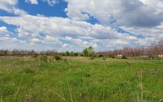 Casa in Mihailesti complex Paradise Valey - Poză 7