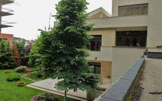 Vila impresionantă cu 15 camere, situată în zona Barbu Văcărescu - Poză 13