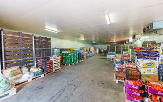 Depozit frigo de închiriat în Săcălaz - Poză 3