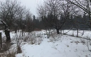 CASA DE VANZARE + ANEXE 2500 MP / PUTNA - Poză 14