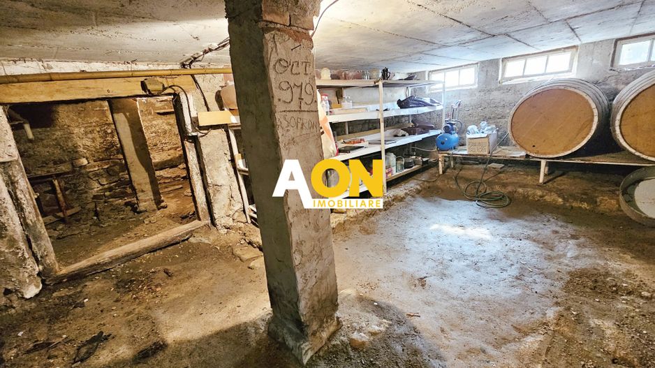 Casa cu 4 camere, 2024 mp teren, la asfalt, cu utilitati, Vintu de Jos - Poză 18